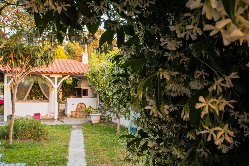 Bouganvillia Homes Nikiti  Esterno foto
